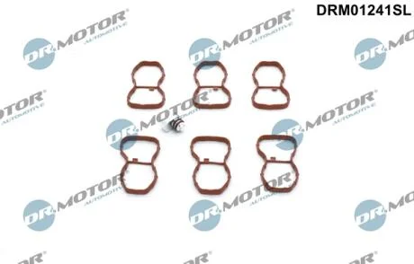 Комплект прокладок гумових DR Motor DRM01241SL