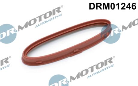 Кільце гумове DR Motor DRM01246
