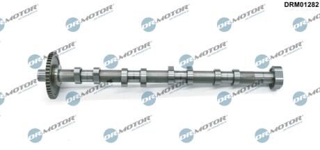 Автозапчастина DR Motor DRM01282
