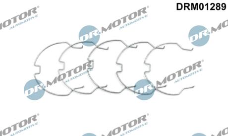 Комплект хомутів металевих DR Motor DRM01289