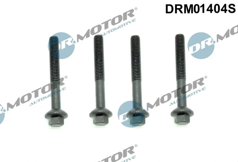 Комплект болтів двигуна з шестигранною головкою DR Motor DRM01404S (фото 1)