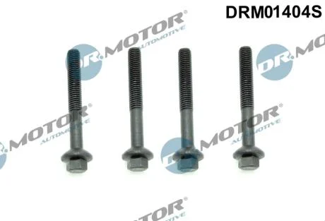 Комплект болтів двигуна з шестигранною головкою DR Motor DRM01404S