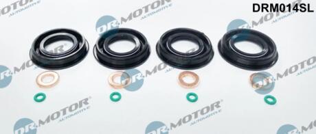 Комплект ущільнювачів з різних матеріалів DR Motor DRM014SL