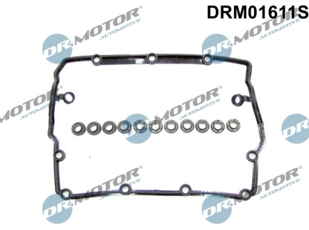 Комплект прокладок з різних матеріалів DR Motor DRM01611S