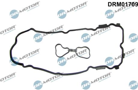 Комплект прокладок гумових DR Motor DRM01709