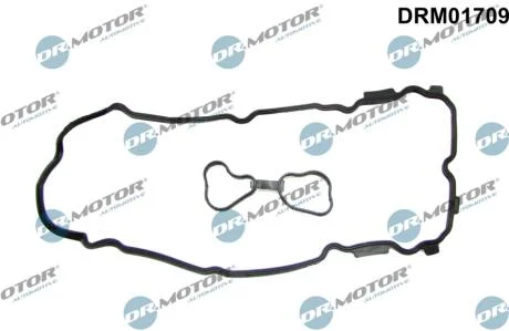 Комплект прокладок гумових DR Motor DRM01709