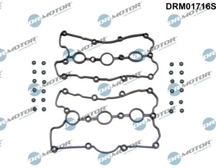 Комплект прокладок гумових DR Motor DRM01716S
