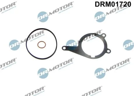 Комплект прокладок з різних матеріалів DR Motor DRM01720