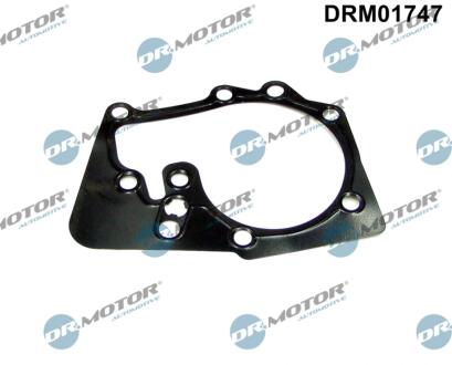 Прокладка двигуна металева DR Motor DRM01747
