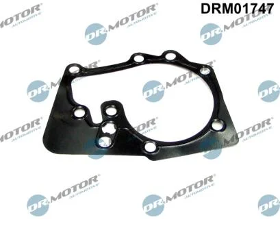 Прокладка двигуна металева DR Motor DRM01747