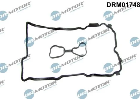 Комплект прокладок гумових DR Motor DRM01748