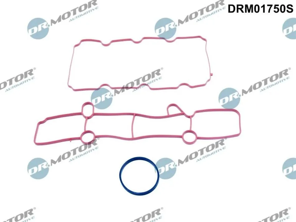 Комплект прокладок гумових DR Motor DRM01750S (фото 1)