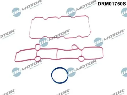Комплект прокладок гумових DR Motor DRM01750S