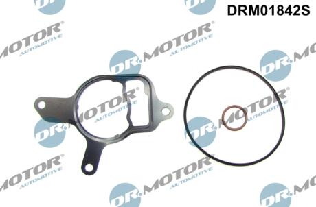 Комплект прокладок з різних матеріалів DR Motor DRM01842S