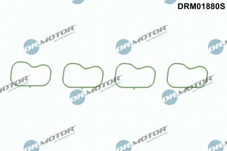 Комплект прокладок гумових DR Motor DRM01880S