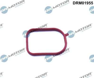 Прокладка двигуна гумова DR Motor DRM01955