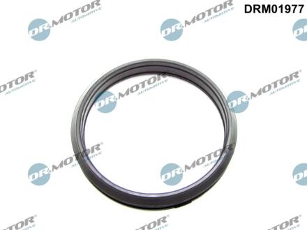 Кільце гумове DR Motor DRM01977