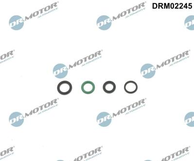 Комплект ущільнювачів з різних матеріалів DR Motor DRM02245