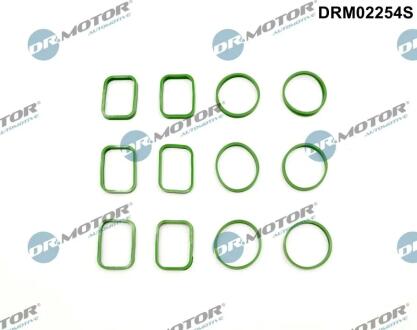 Комплект прокладок гумових DR Motor DRM02254S