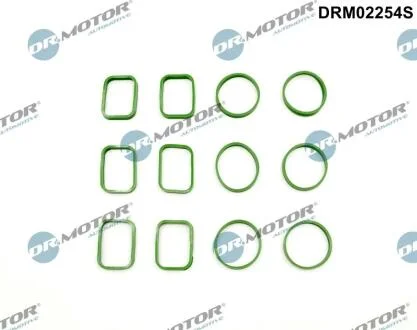Комплект прокладок гумових DR Motor DRM02254S