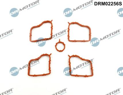 Комплект прокладок гумових DR Motor DRM02256S
