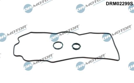 Комплект прокладок гумових DR Motor DRM02299S