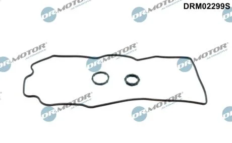 Комплект прокладок гумових DR Motor DRM02299S