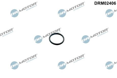Кільце гумове DR Motor DRM02406