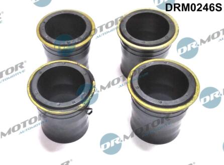 Кільце гумове DR Motor DRM0246S