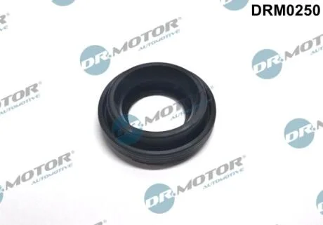 Кільце гумове DR Motor DRM0250