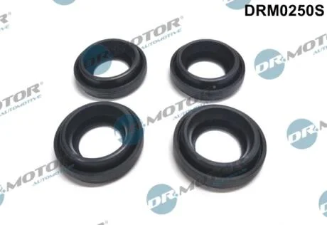Комплект прокладок гумових DR Motor DRM0250S