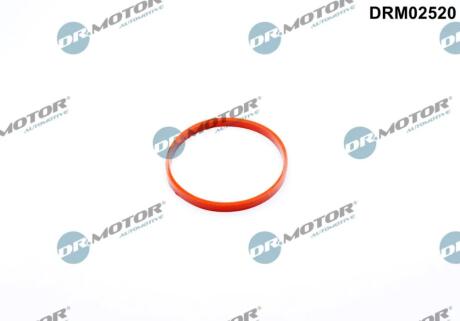 Прокладка двигуна гумова DR Motor DRM02520