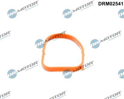 Кільце гумове DR Motor DRM02541