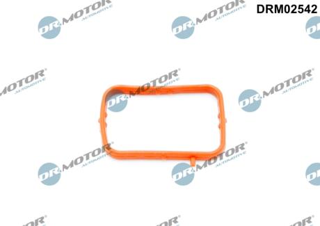 Кільце гумове DR Motor DRM02542