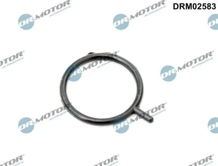 Кільце гумове DR Motor DRM02583