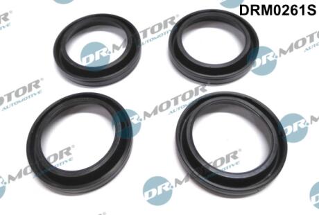 Кільце гумове DR Motor DRM0261S