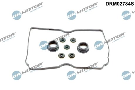 Комплект прокладок гумових DR Motor DRM02789