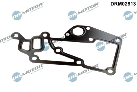 Прокладка двигуна металева DR Motor DRM02813