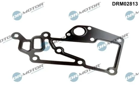 Прокладка двигуна металева DR Motor DRM02813