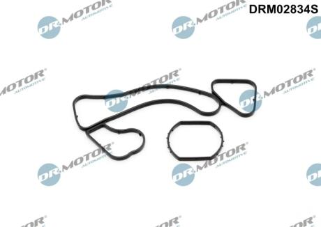 Комплект прокладок гумових DR Motor DRM02834S