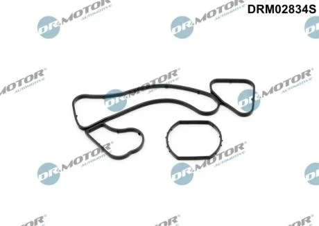 Комплект прокладок гумових DR Motor DRM02834S