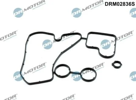 Комплект прокладок гумових DR Motor DRM02836S