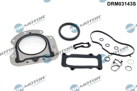 Комплект прокладок з різних матеріалів DR Motor DRM03143S
