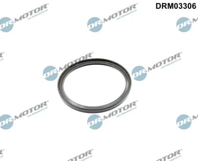 Кільце гумове DR Motor DRM03306
