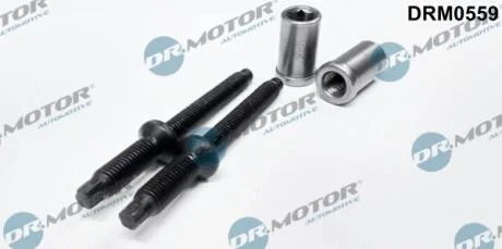 Комплект болтів з головкою системи TORX з чорного металу в наборі з гайками DR Motor DRM0559