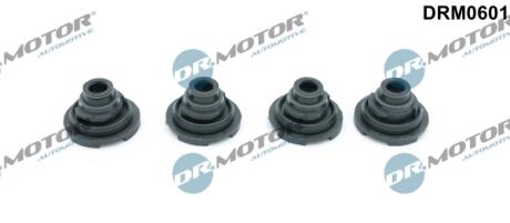 Комплект прокладок гумових DR Motor DRM0601