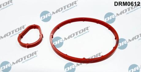 Прокладка гумова DR Motor DRM0612