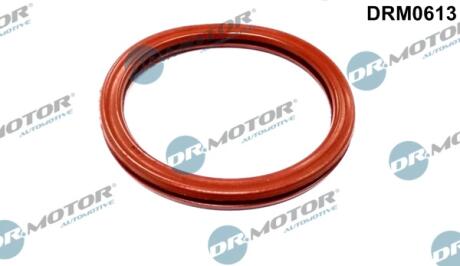Прокладка гумова DR Motor DRM0613