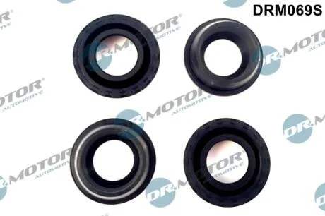 Комплект прокладок з різних матеріалів DR Motor DRM069S