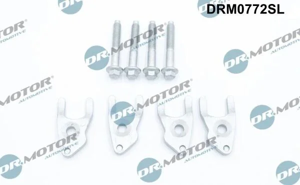 Комплект болтів двигуна з шестигранною головкою DR Motor DRM0772SL (фото 1)